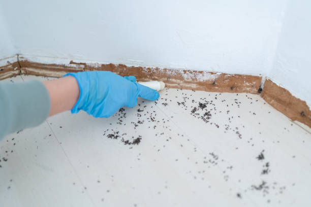 Best Best Pest Control Companies  in Pitman, NJ