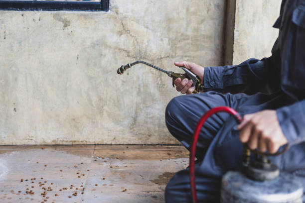Best Exterminator Services  in Pitman, NJ